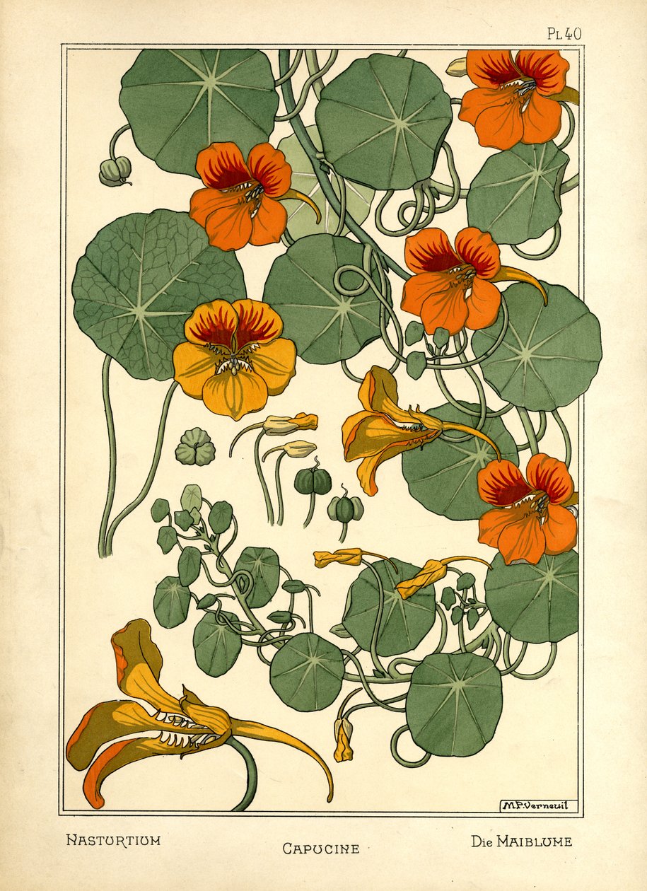 Nasturtium (barevné lito) od Maurice Pillard Verneuil
