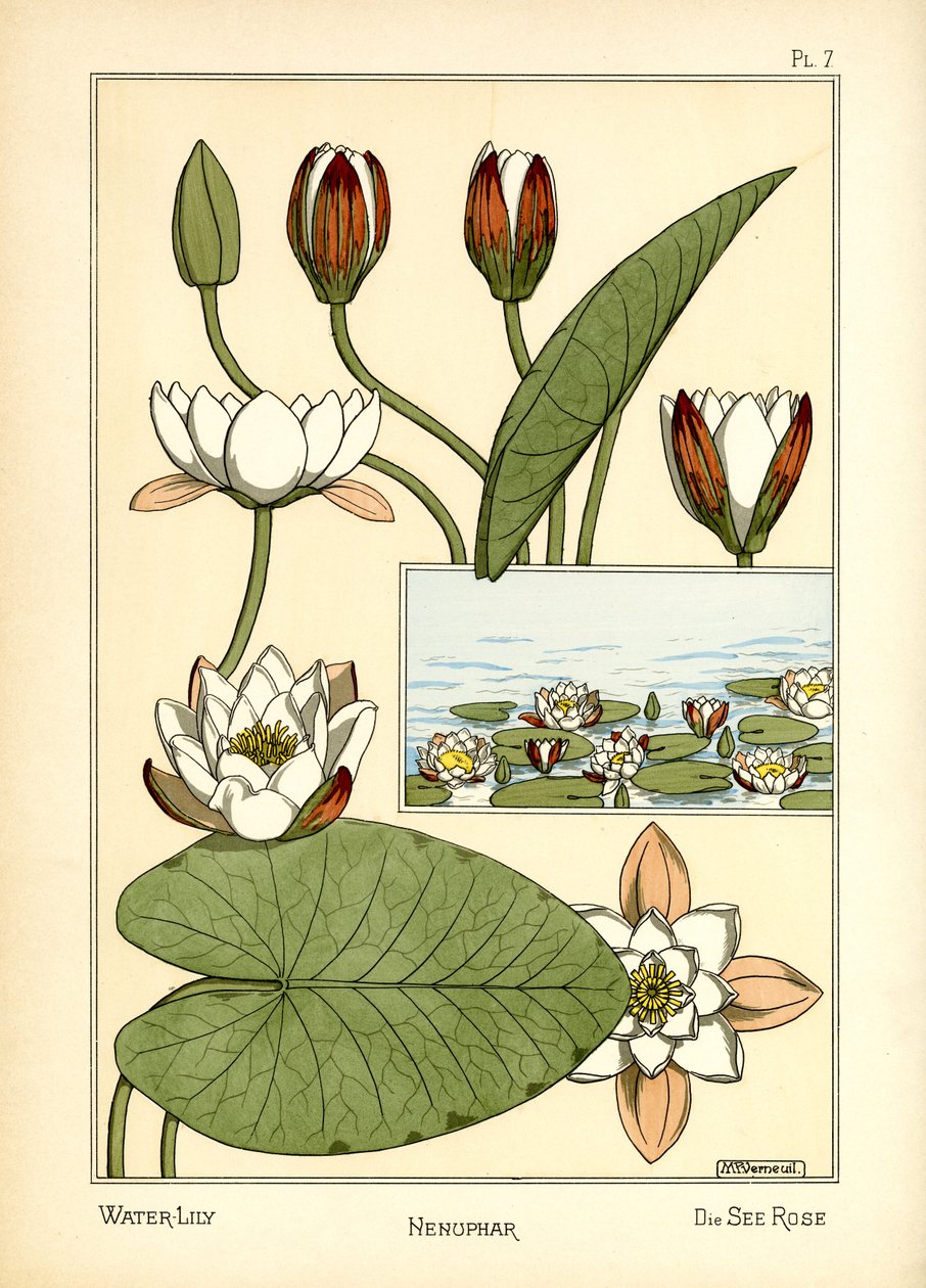 Leknín (barva lito) od Maurice Pillard Verneuil