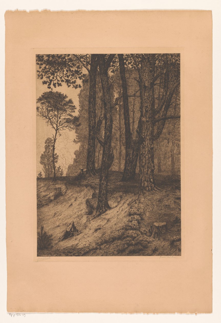 okraj lesa od Maurits van der Valk (signed by artist)