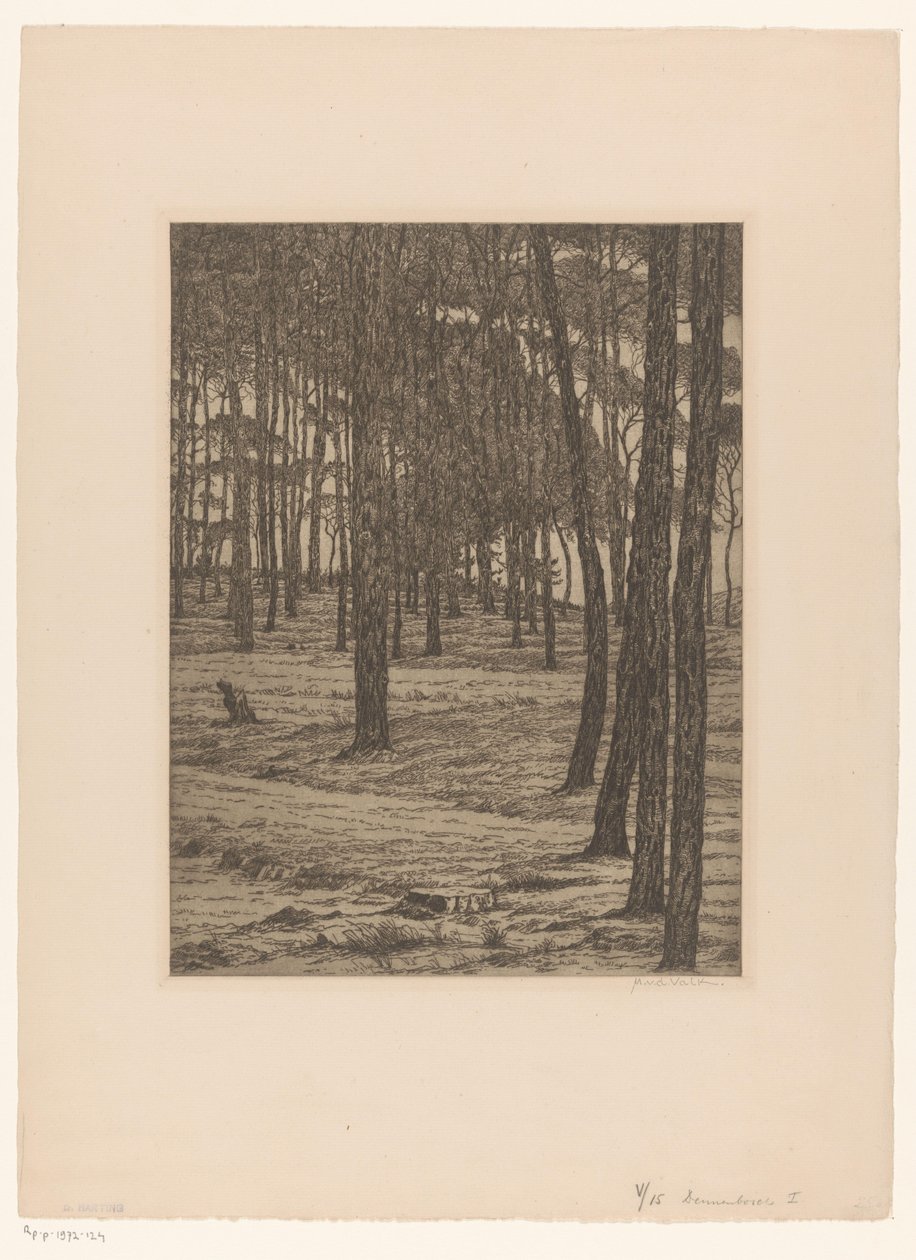 Dennenbosch I (původní název na objektu) Bos (původní název) od Maurits van der Valk (signed by artist)