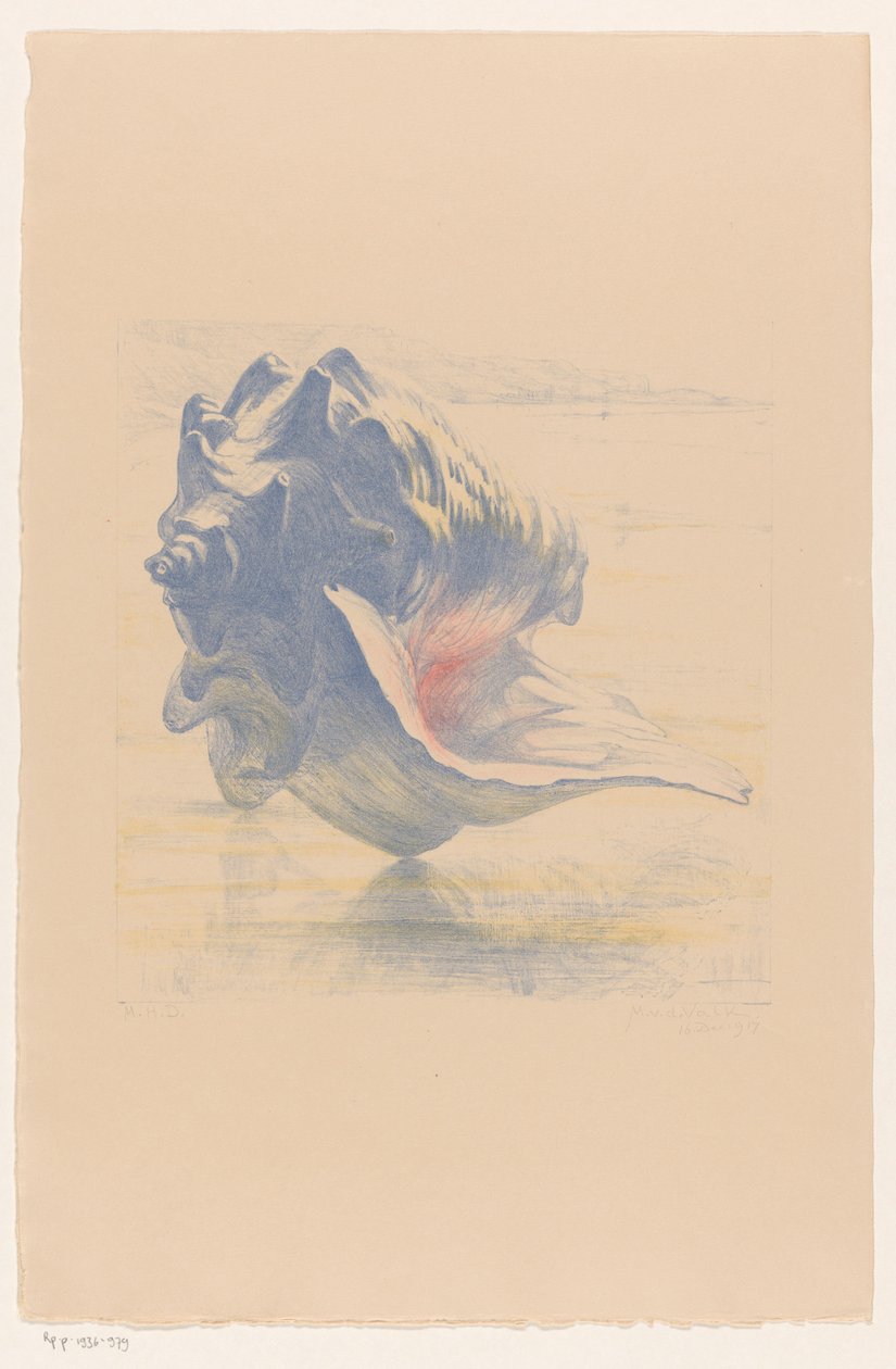 Shell od Maurits van der Valk (signed by artist)