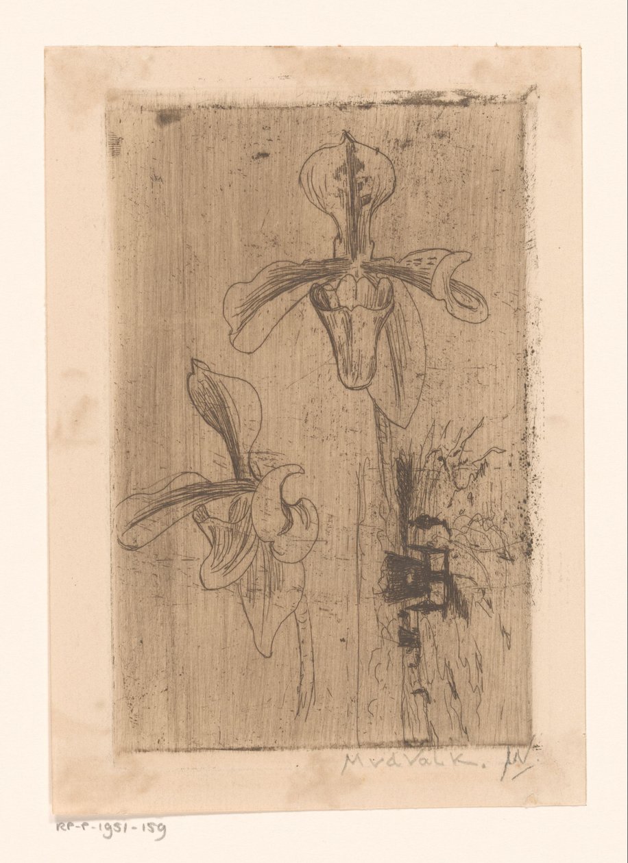 Dvě orchideje a vozík na pláži od Maurits van der Valk (signed by artist)