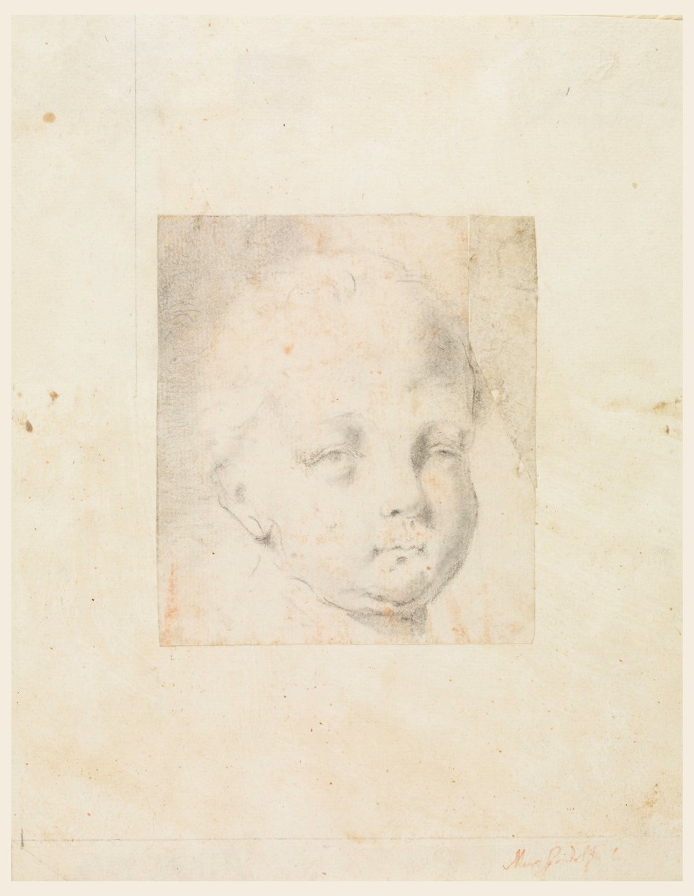 Kresba, Studie: Hlava chlapce, 1810-34 od Mauro Gandolfi