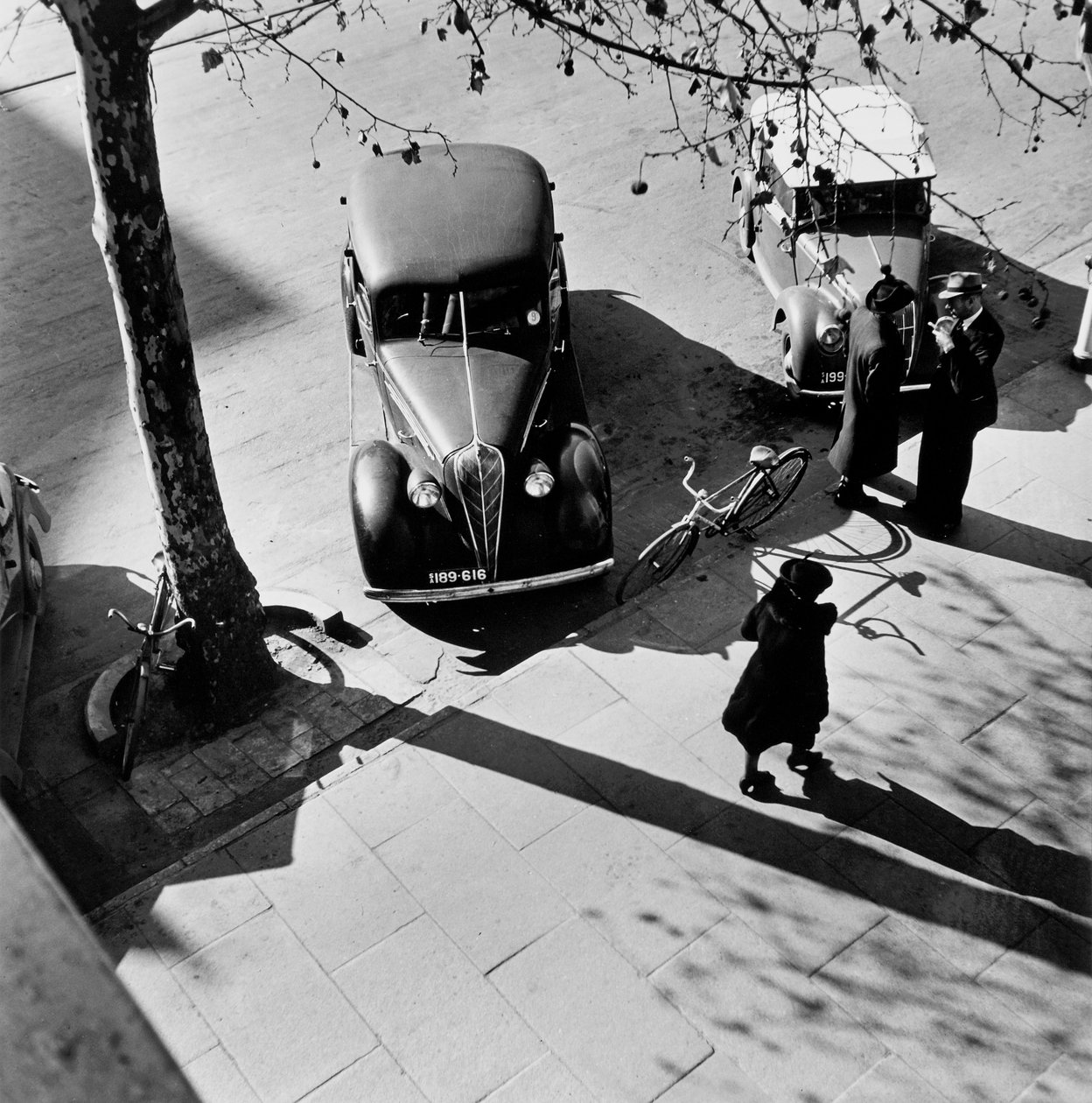 Adelaide od Max Dupain