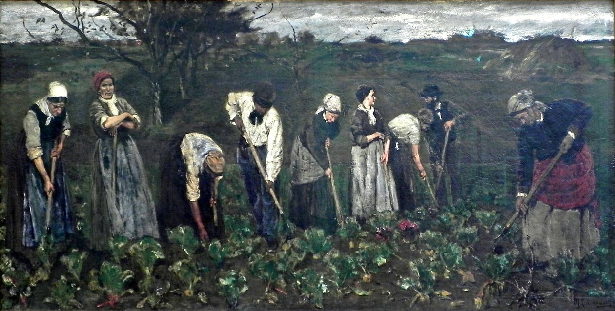 Pracovníci v řepném poli od Max Liebermann