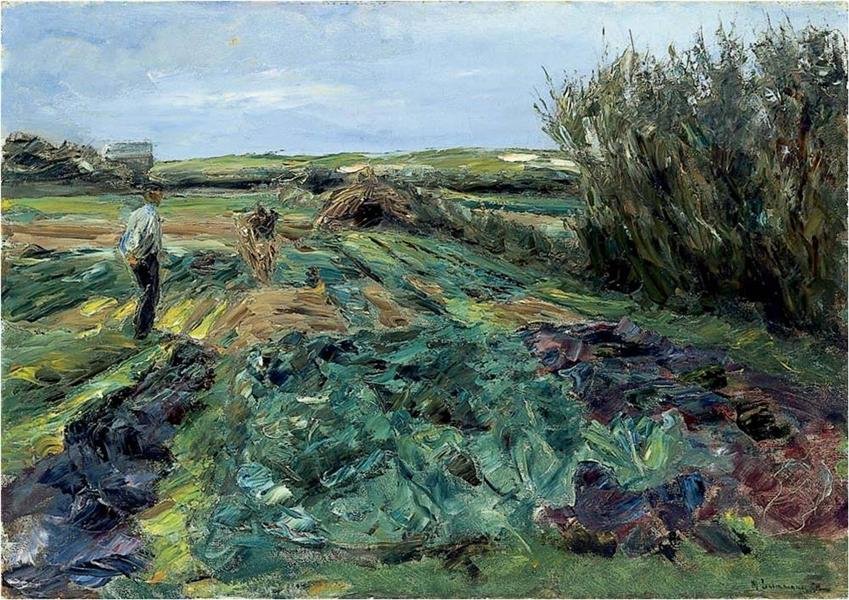 Zelné pole od Max Liebermann