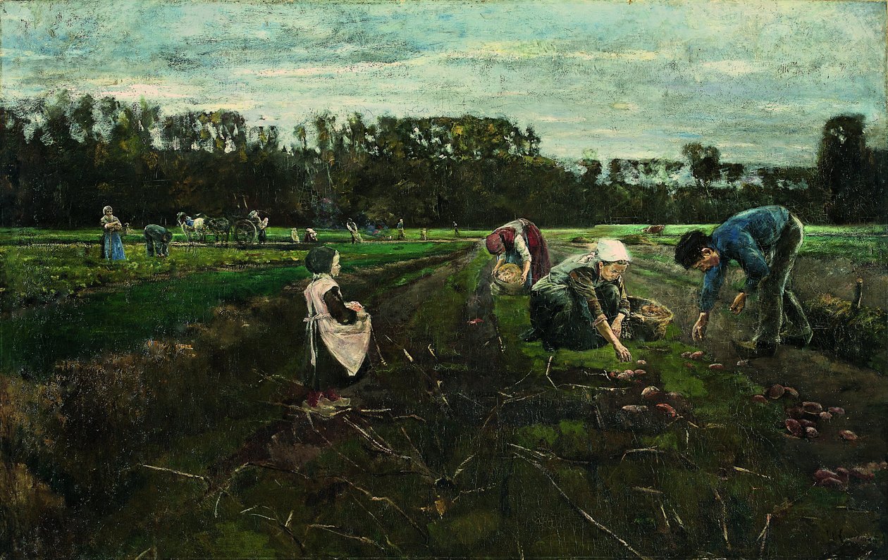 Sklizeň brambor od Max Liebermann