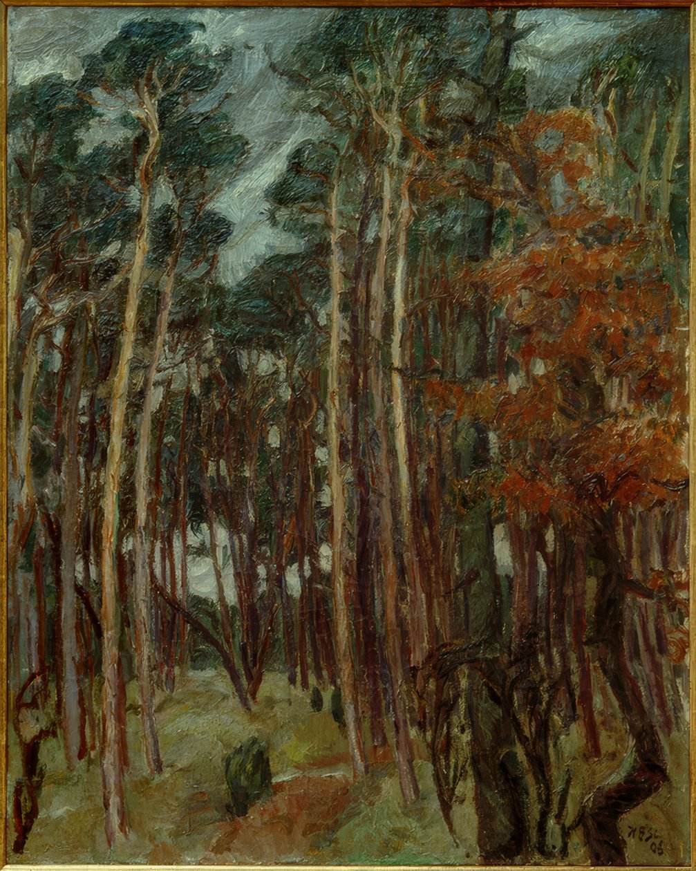 Hermsdorfer Wald za šedého dne od Max Beckmann