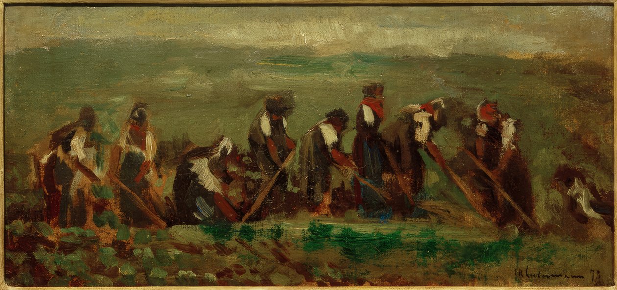Dělníci na řepařském poli - studium složení od Max Liebermann