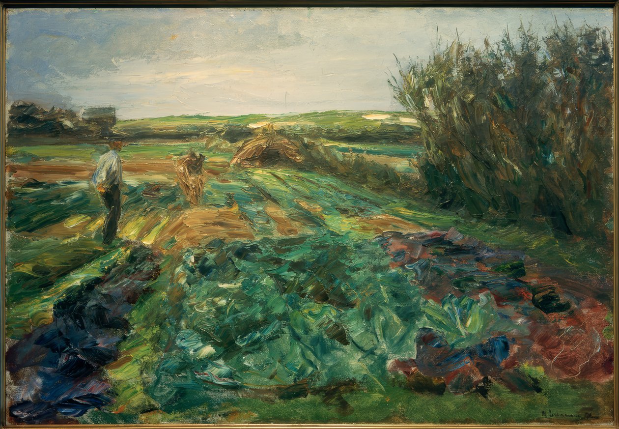 Das Kohlfeld (Kohlfeld v Noordwijku) od Max Liebermann