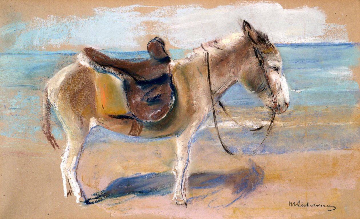 Osel na pláži Noordwijk, 1908. od Max Liebermann