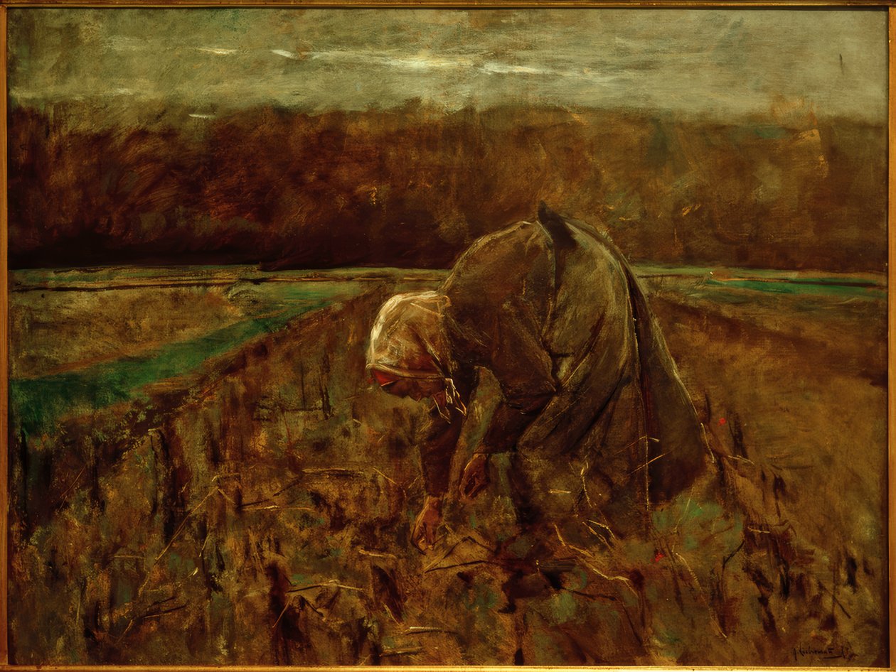 Sběrač brambor od Max Liebermann