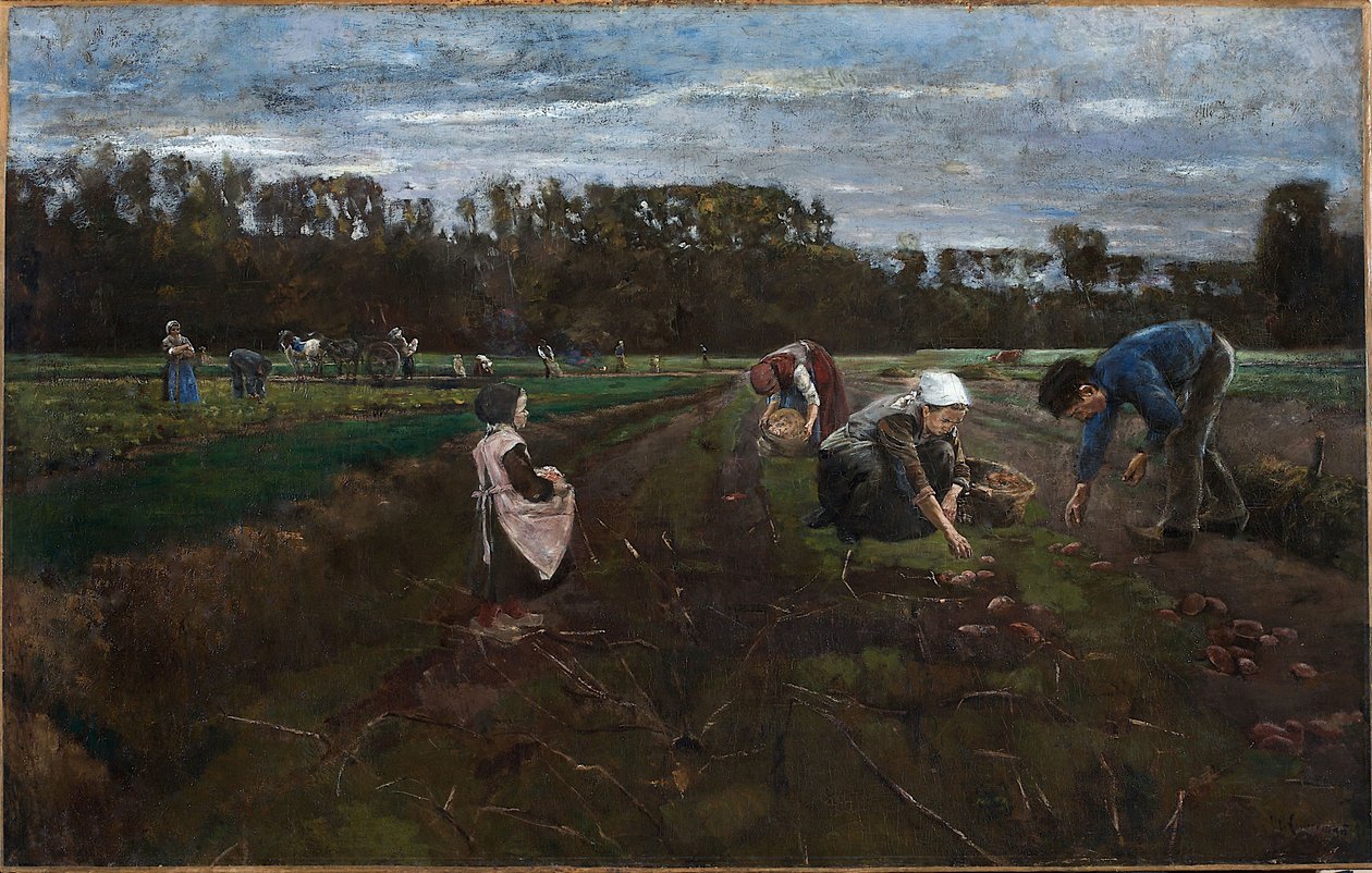 Sklizeň brambor od Max Liebermann