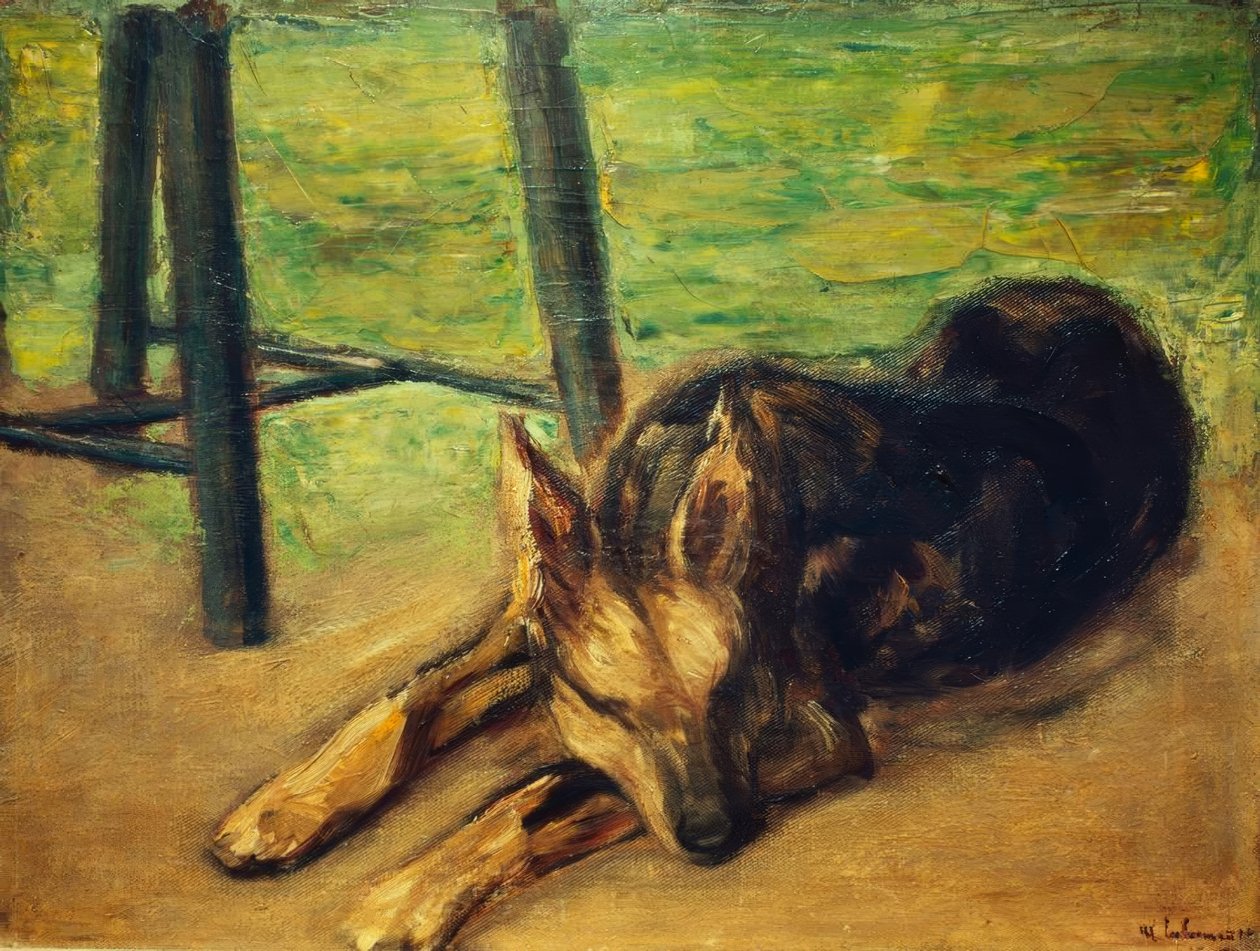 Spící německý ovčák od Max Liebermann