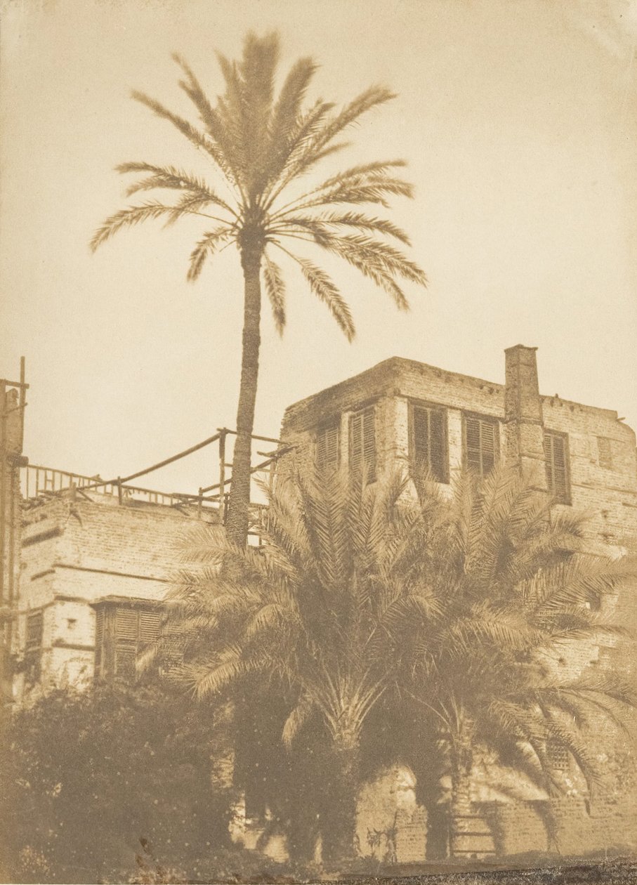 Datlové palmy a Maison du Quartier Franc, Káhira, prosinec 1849-leden 1850. od Maxime Du Camp