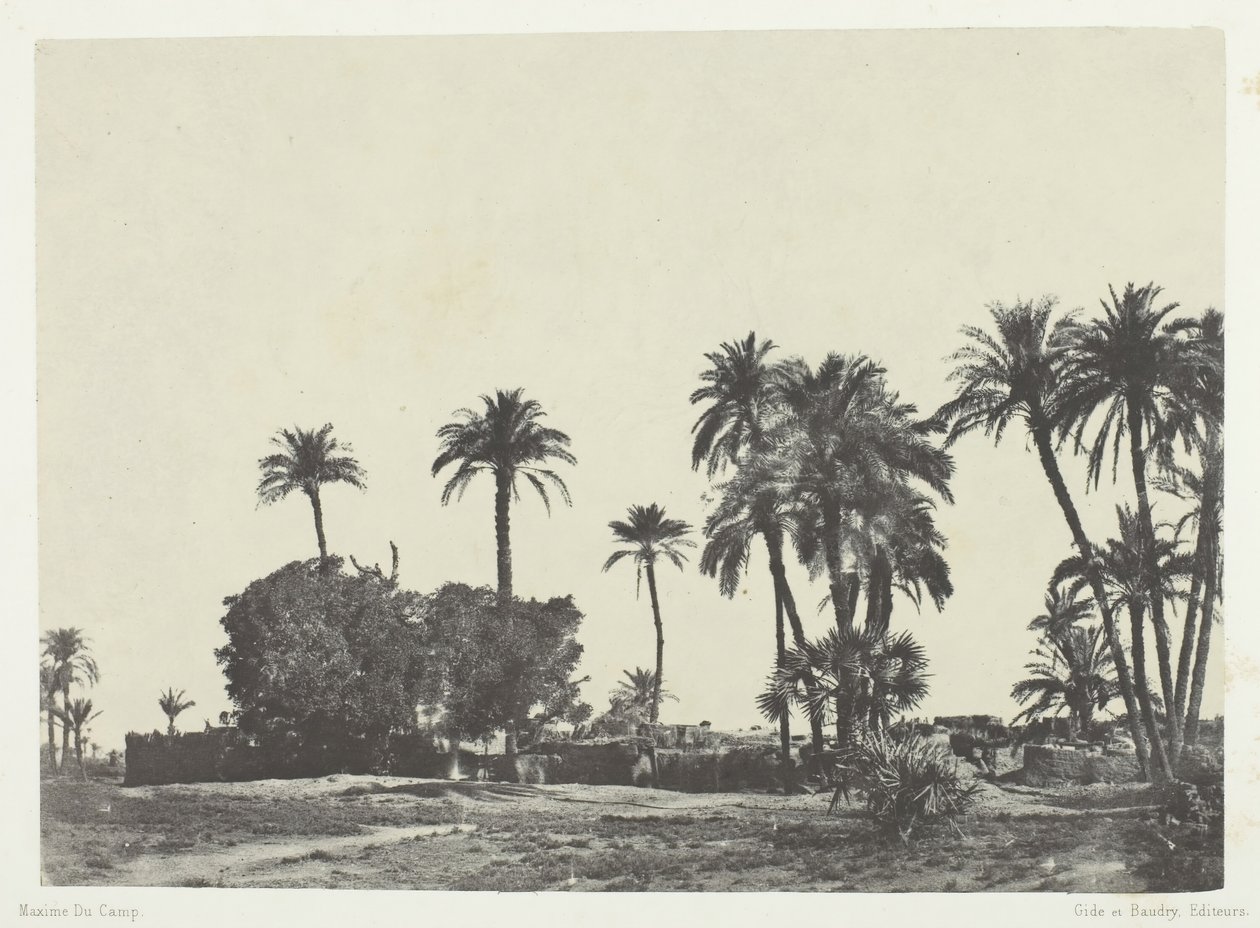 Vesnice Hamameh, Horní Egypt, 184951, vytištěno 1852. od Maxime Du Camp