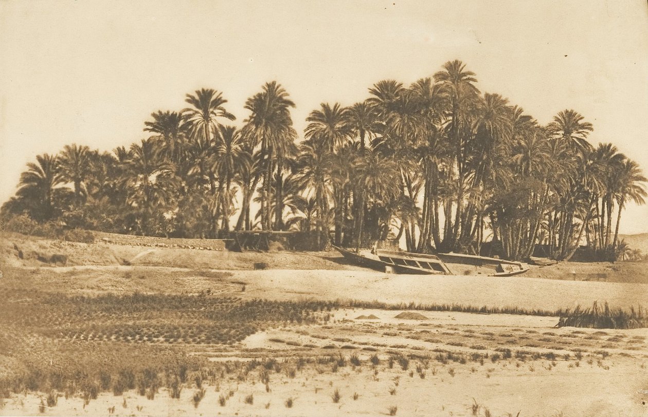 Pohled na Elephantine Island, naproti Asuánu, 1849-50. od Maxime Du Camp