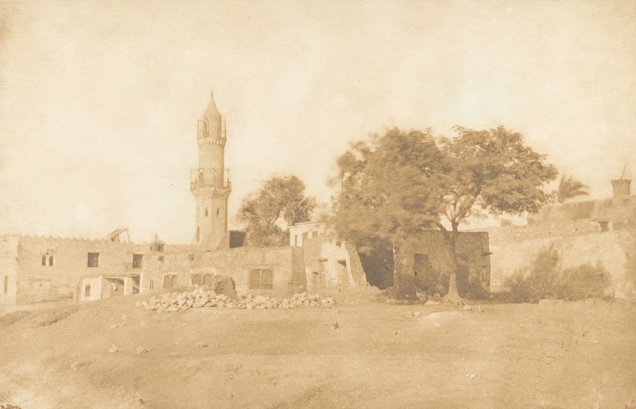 Pohled pořízený v Béni-Souef, 1850. od Maxime Du Camp