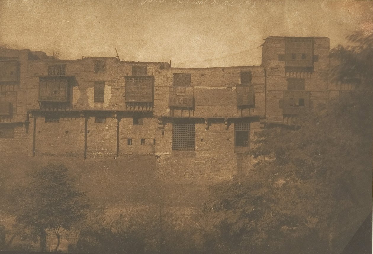 Pohled z Jardin du Quartier Franc, v Káhiře, prosinec 1849-leden 1850. od Maxime Du Camp