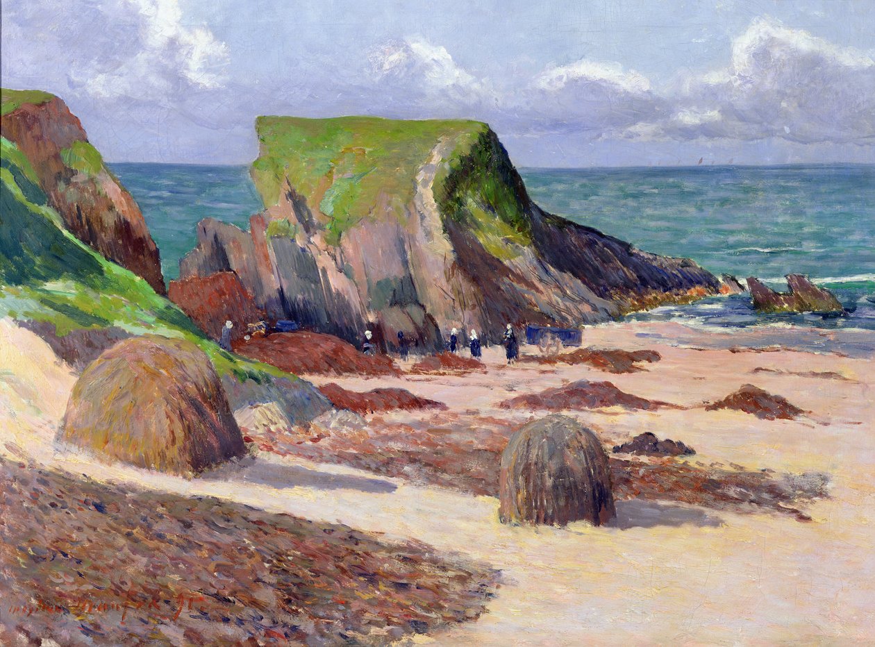 Sklizeň mořských řas, 1891 od Maxime Emile Louis Maufra