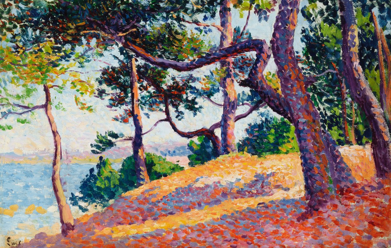 Krajina v Saint-Tropez, 1892 od Maximilien Luce