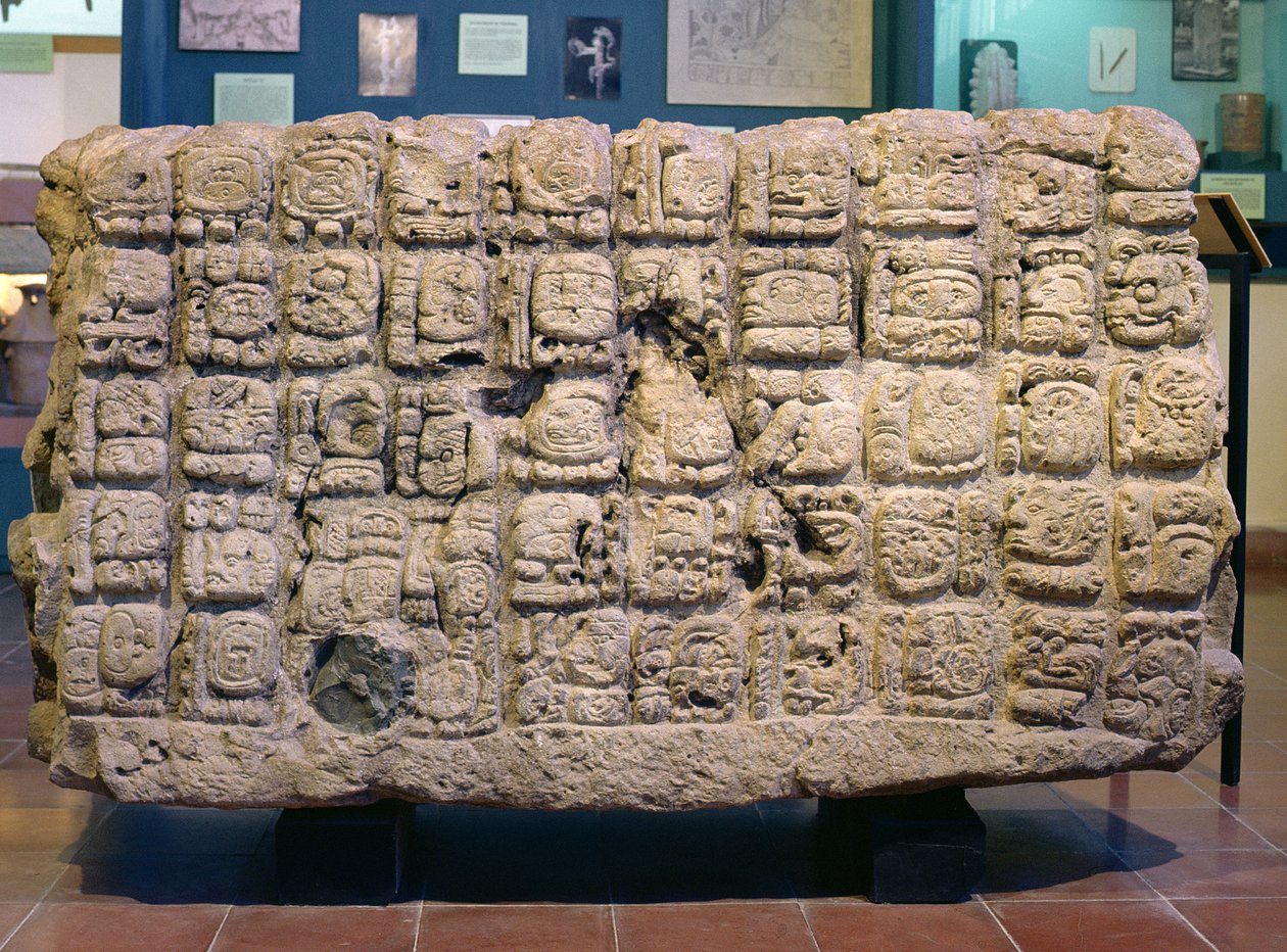 Zadní strana Altar U z Copanu, pozdní klasické období (795 nl) od Mayan