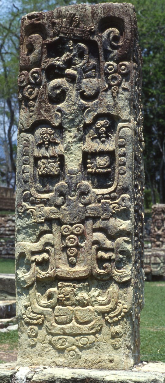 Zadní strana stély B, Copan, pozdní klasické období, 731 našeho letopočtu od Mayan