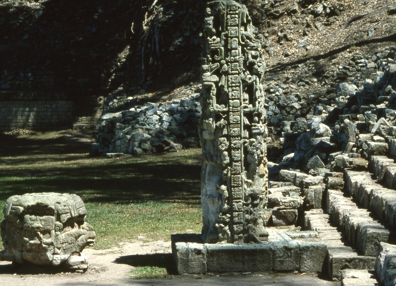 Copan, Stela N, západní strana, pozdní klasické období, 764 našeho letopočtu od Mayan