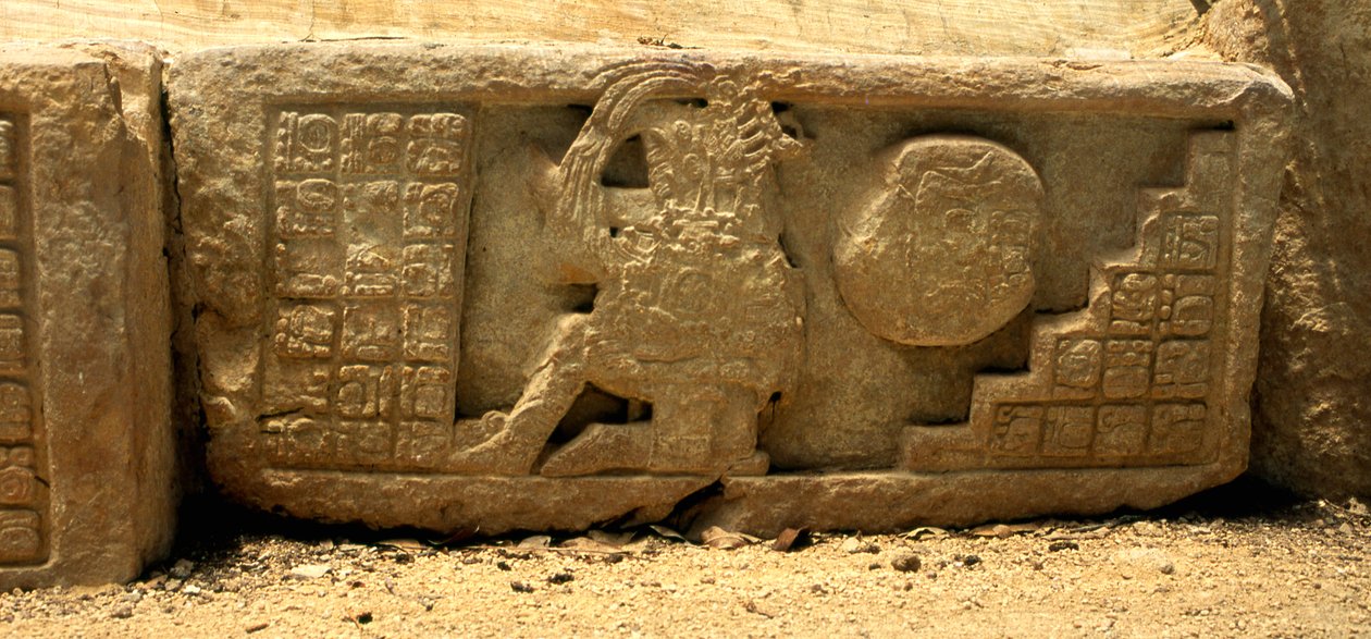 Nízký reliéf hráče míčové hry, míč a symboly poskytující popis, pozdní klasické období (700–900 n. l.) od Mayan