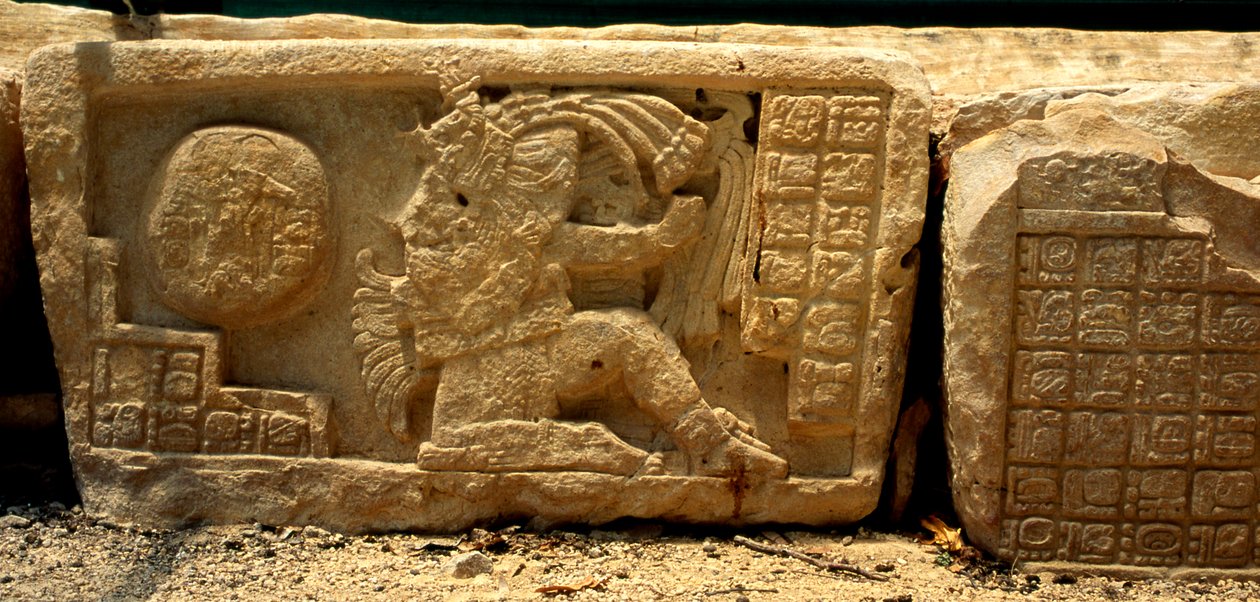 Nízký reliéf hráče míčové hry, míč a symboly poskytující popis, pozdní klasické období (700–900 n. l.) od Mayan