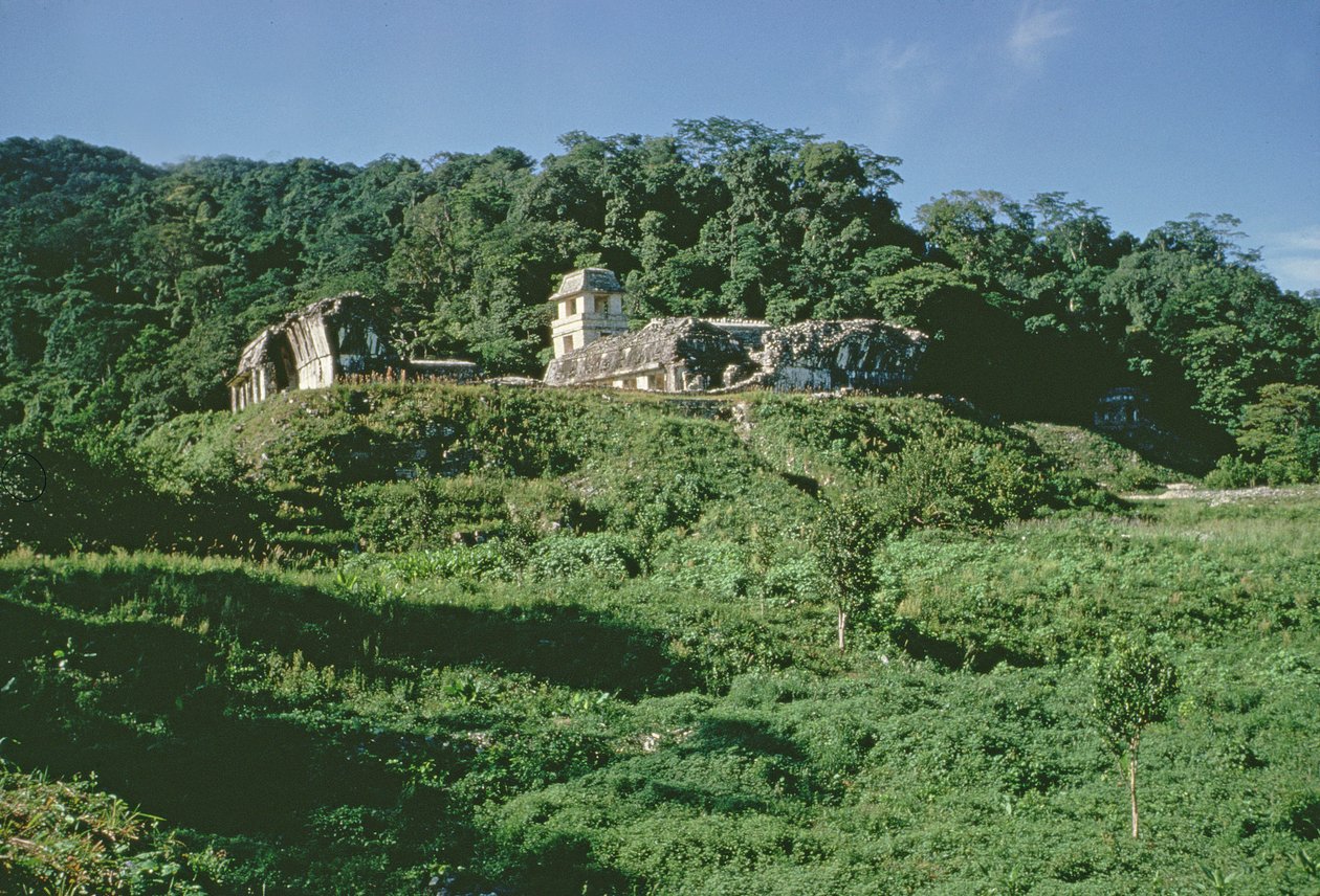 Palác a observatoř na kopci, Maya, pozdní klasické období od Mayan