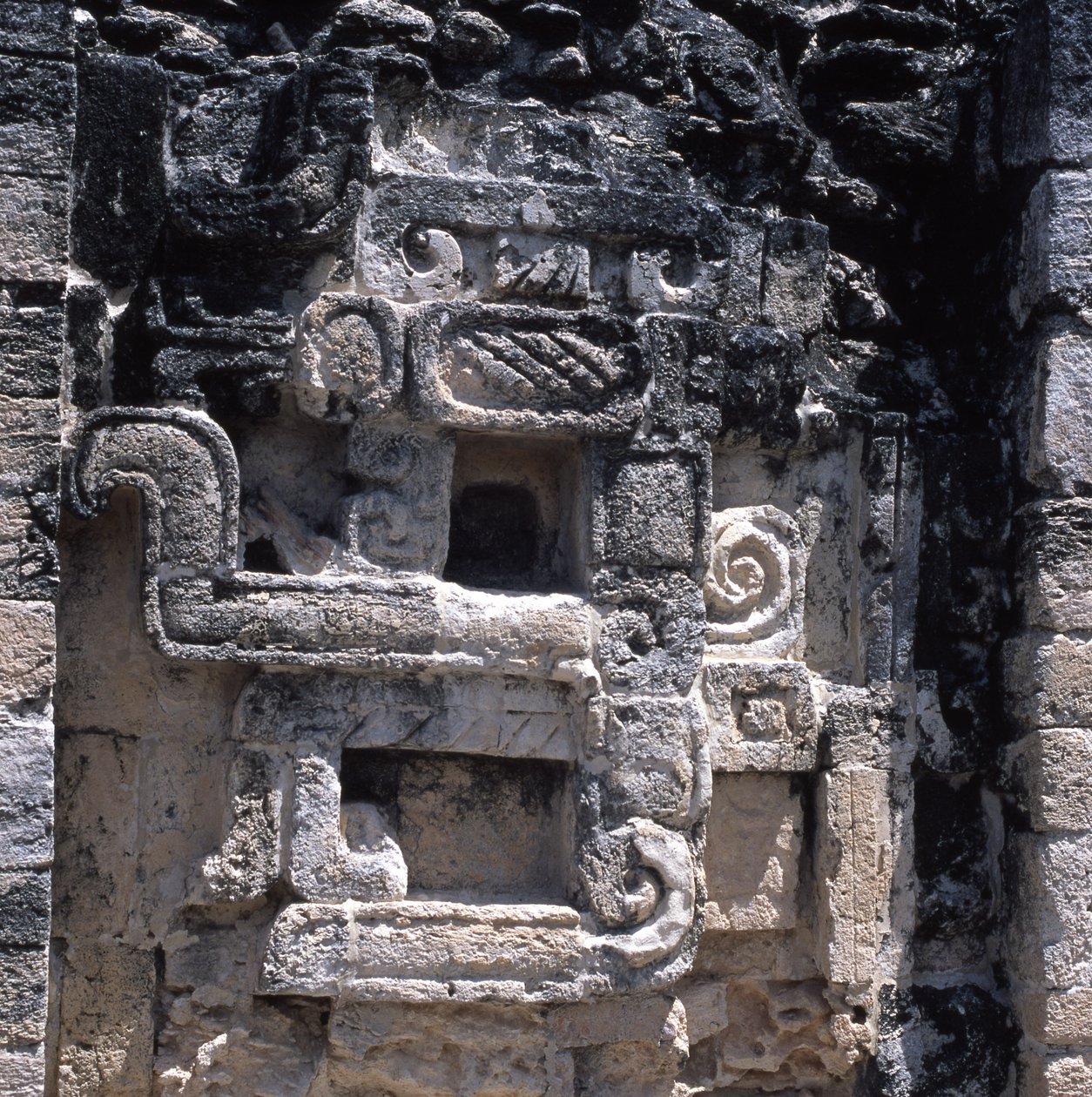 Reliéf pozemského monstra, období pozdní klasiky, 600-900 našeho letopočtu od Mayan