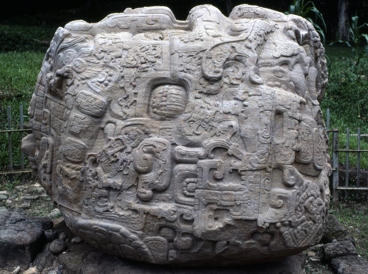 Boční pohled na zoomorfní kámen P, pozdně klasické období (600-900 n. l.) od Mayan