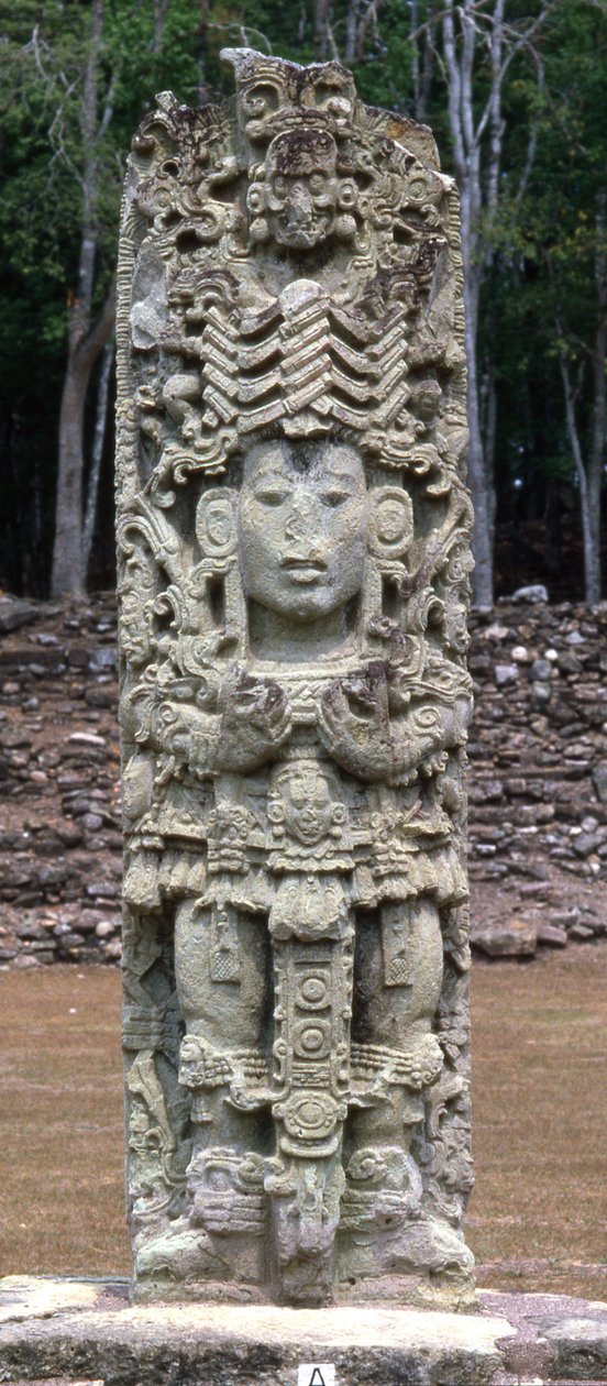 Stela A, Copan, pozdní klasické období, kolem 730 našeho letopočtu od Mayan