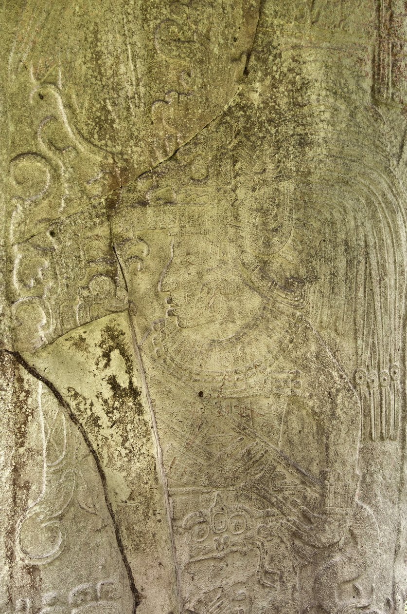 Detail Stely 9 zobrazující Ajb’alun Haab’tal Wat’ul K’atel, Terminal Classic King z Ceibalu v Guatemale, připomínající konec 9. katun v n. l. 849 kámen od Mayan