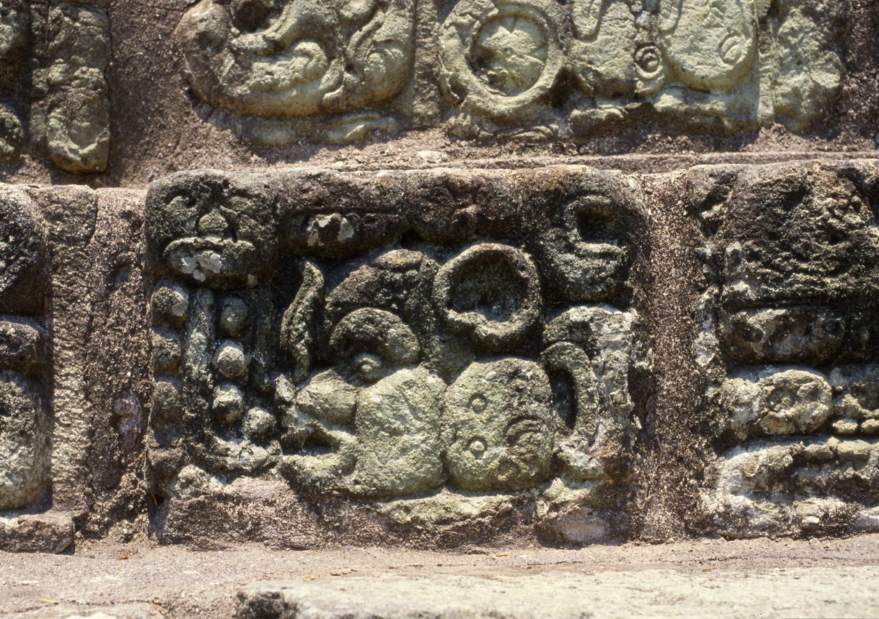 Glyf města Copan na hieroglyfickém schodišti, pozdní klasické období (600-900) c.760 našeho letopočtu od Mayan