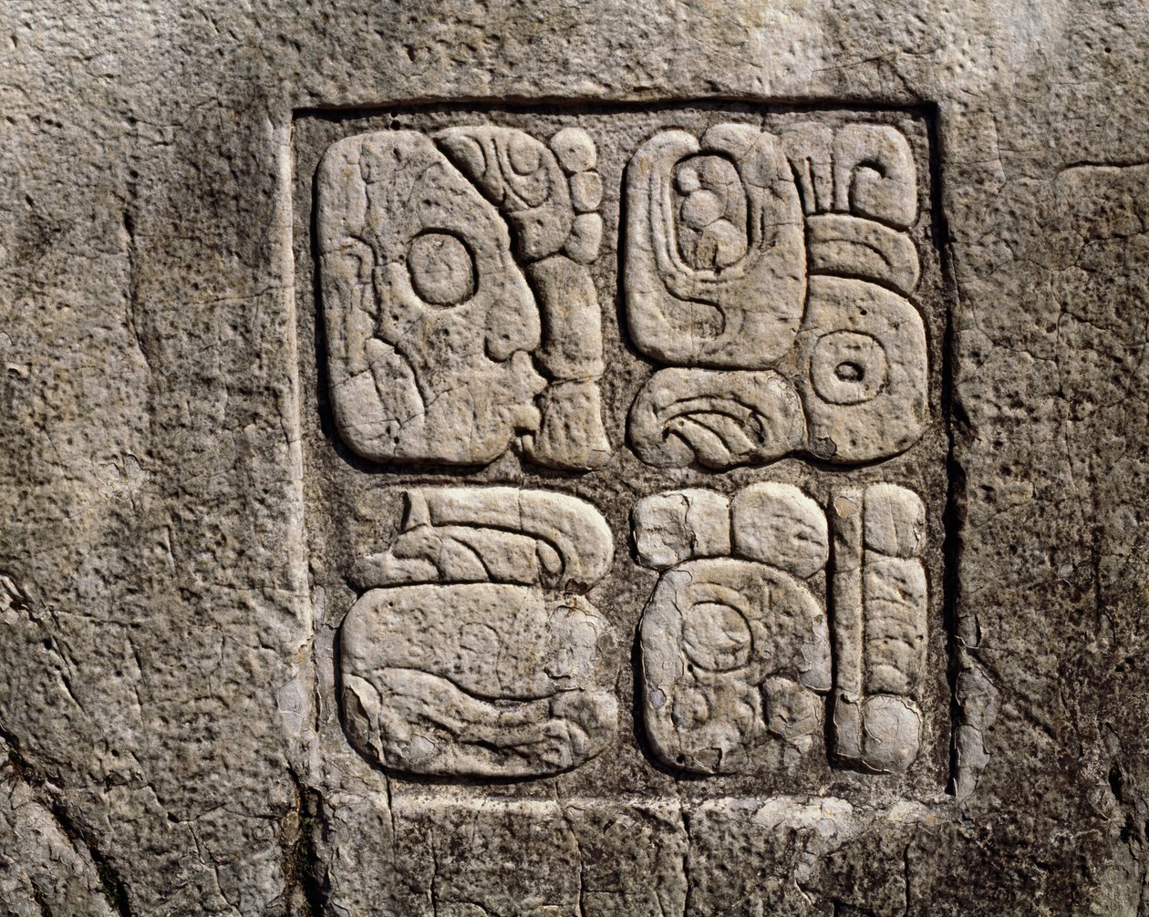 Glyfy v domě C, patio 2 v paláci od Mayan
