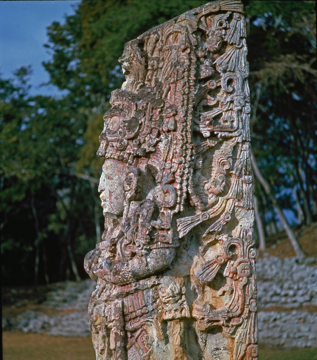 Stele H, Plaza of Ceremonies, 731 našeho letopočtu od Mayan