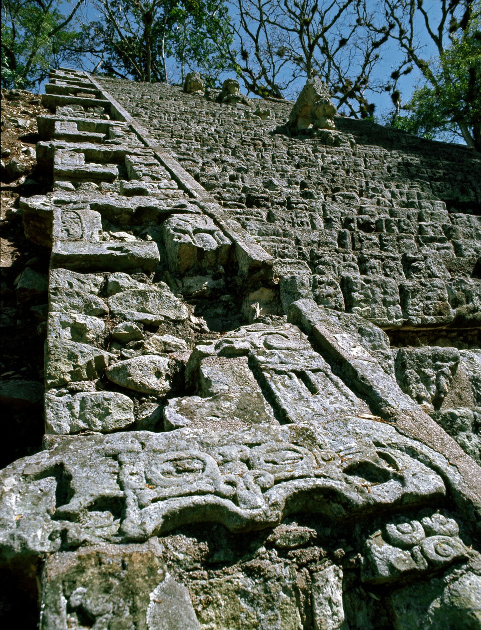 Pohled na hieroglyfické schodiště, 743 našeho letopočtu od Mayan