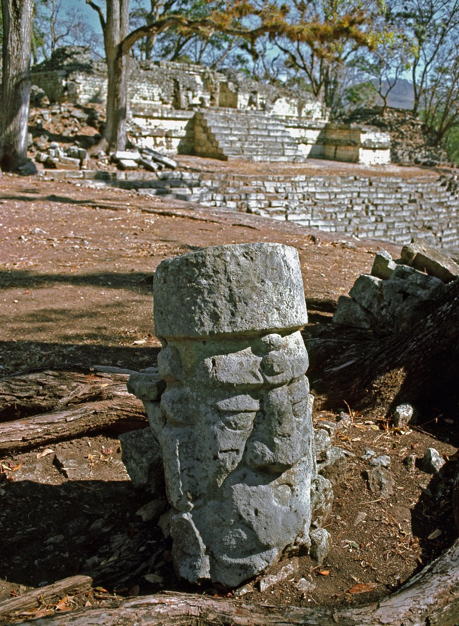 Pohled na východní dvůr a chrám 22, klasické období 7.-8. století od Mayan