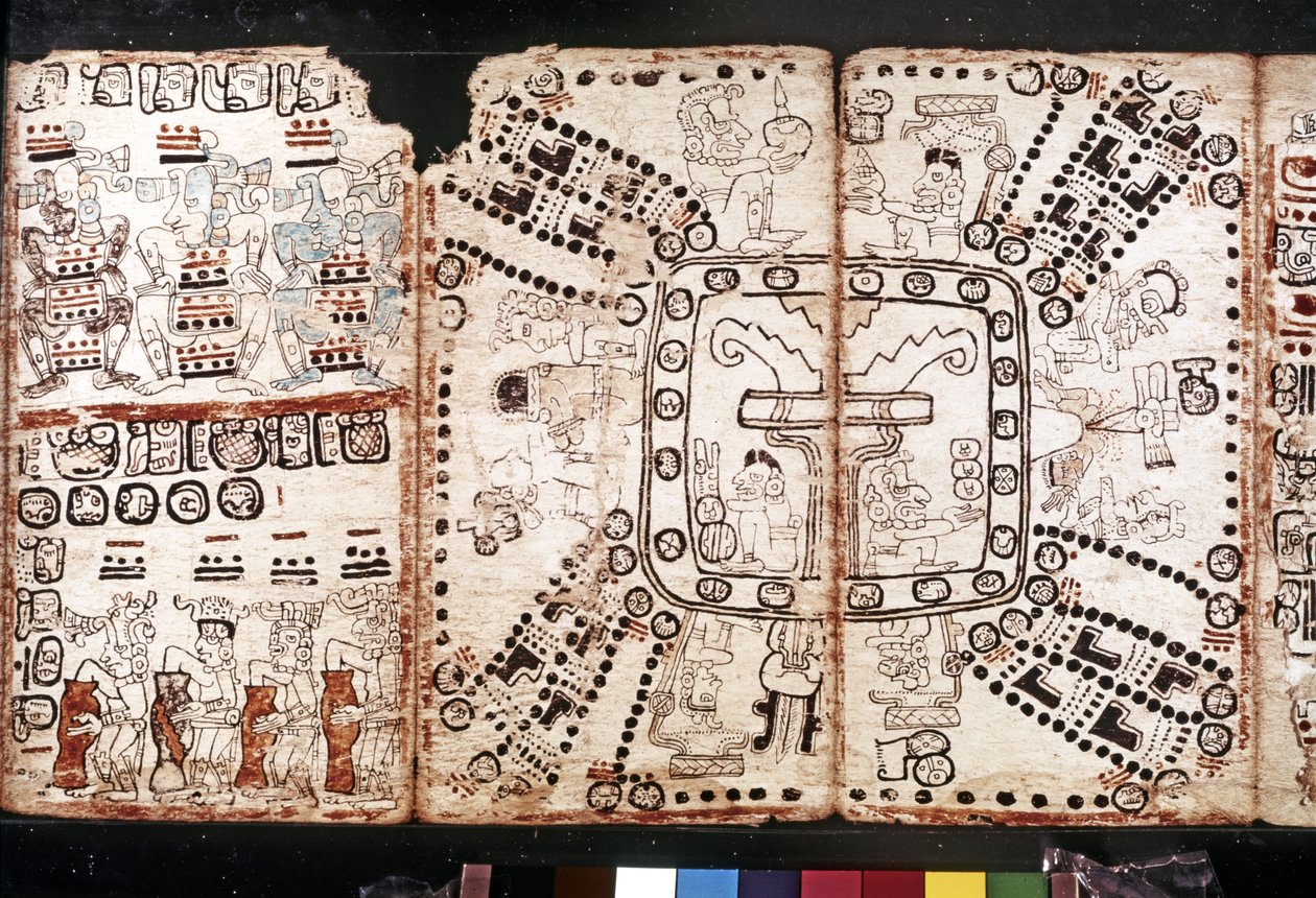 MAYA CIVILIZATION: Codex Tro-Cortesiano, polovina 15. století (kůra-rostlinná vlákna) od Mayan Mayan