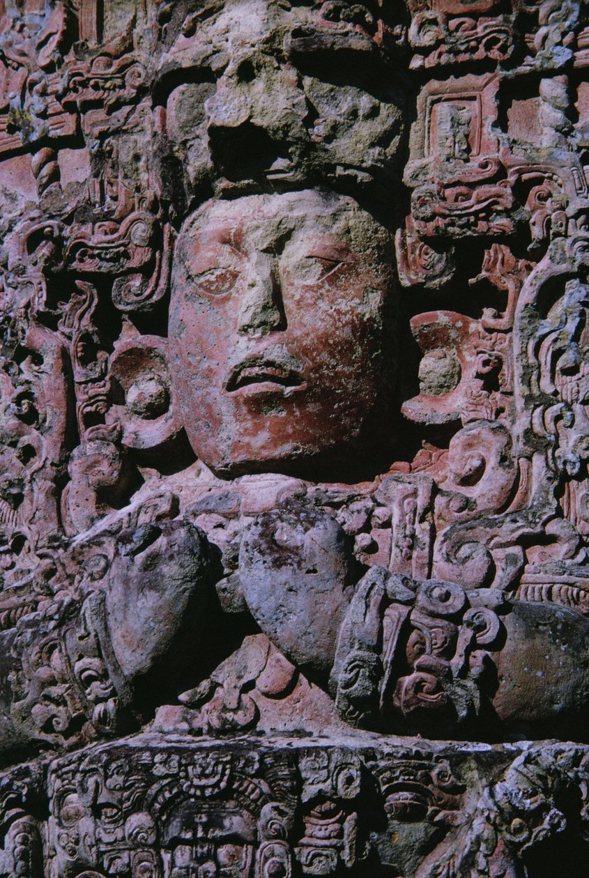 Stéla v Grand Plaza (kámen) (detail 231827) od Mayan Mayan