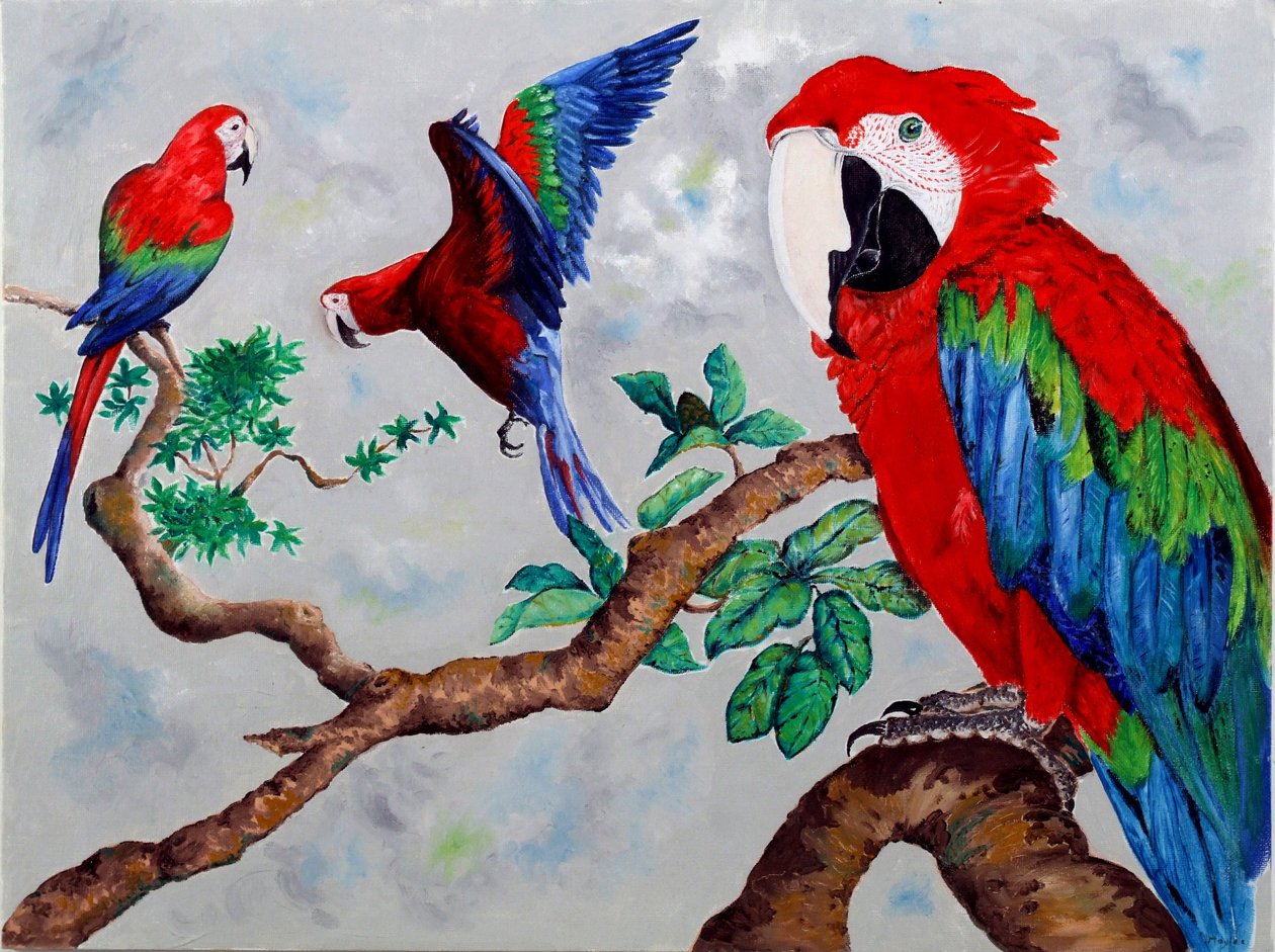 Macaws, 2006 od Maylee Christie