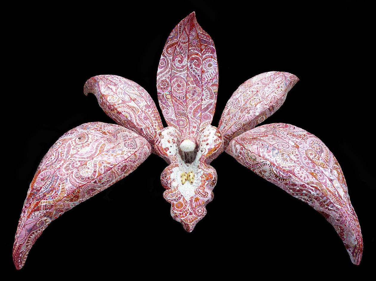 Orchidej, 2011 od Maylee Christie