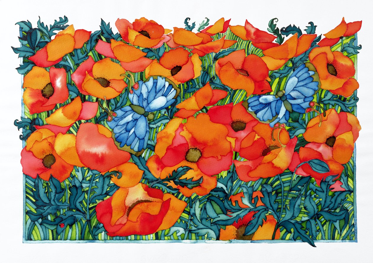 Poppies, 1998 (wc na papíře) od Maylee Christie
