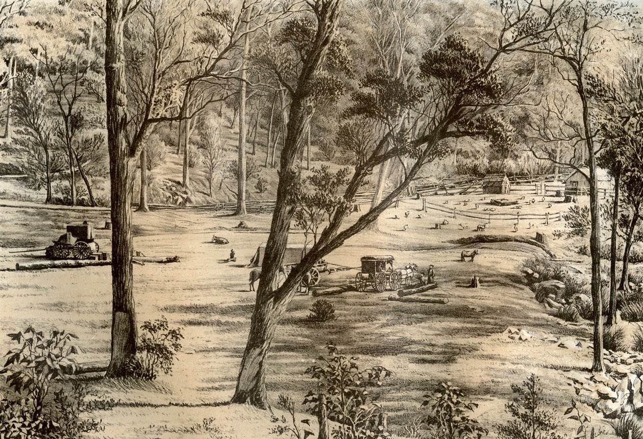Volný výběrčí chata, Austrálie, 1879 od McFarlane and Erskine