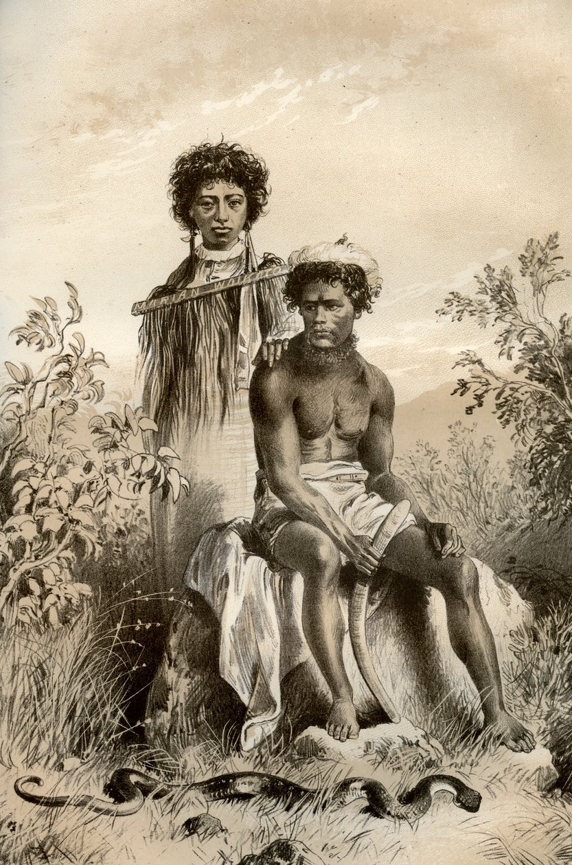 Maorové a kobercový had, Nový Zéland, 1879 od McFarlane and Erskine