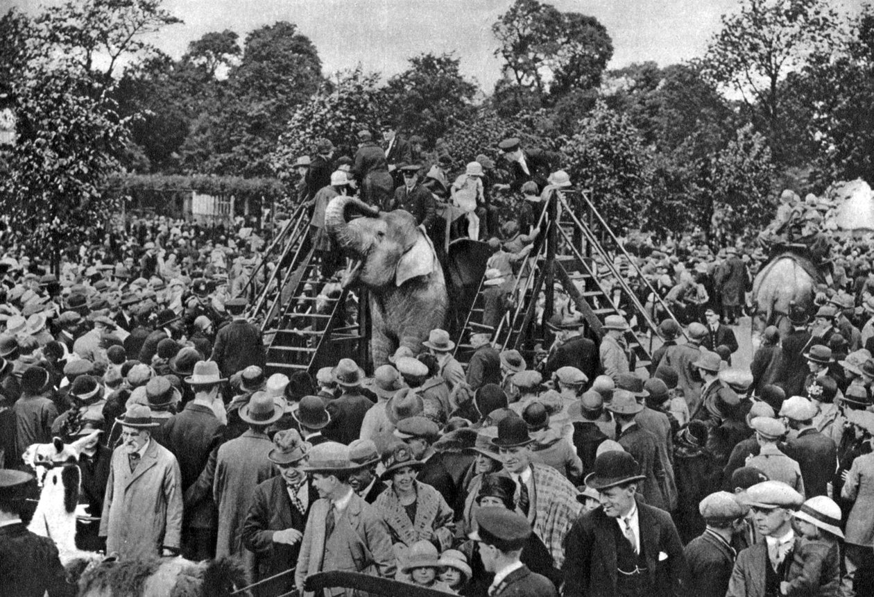 Jízdy na slonech v londýnské zoo, 1926-1927 od McLeish