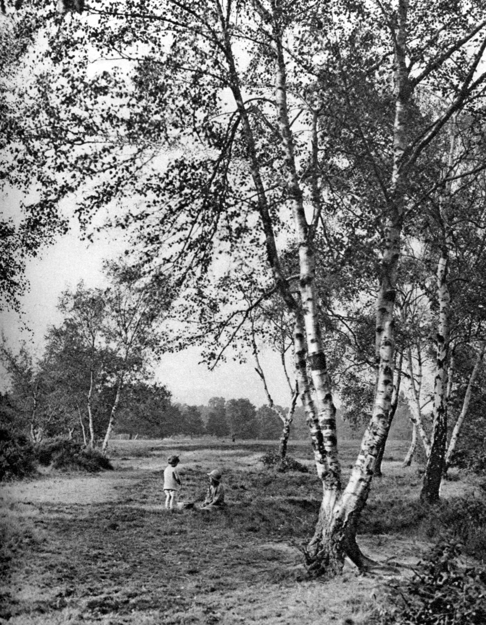 Putney Heath, Londýn, 1926-1927 od McLeish