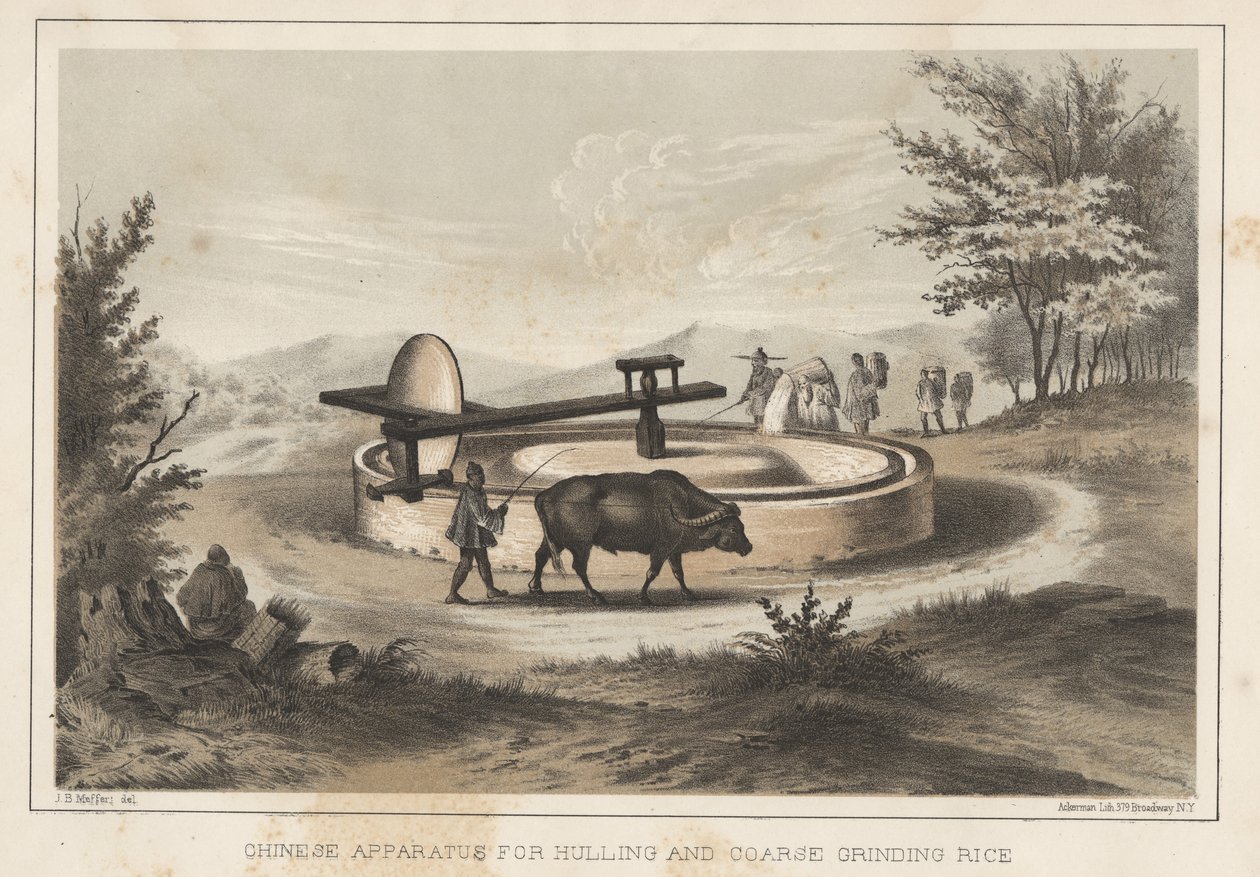 Čínské zařízení pro loupání a hrubé mletí rýže, 1855 od Meffert